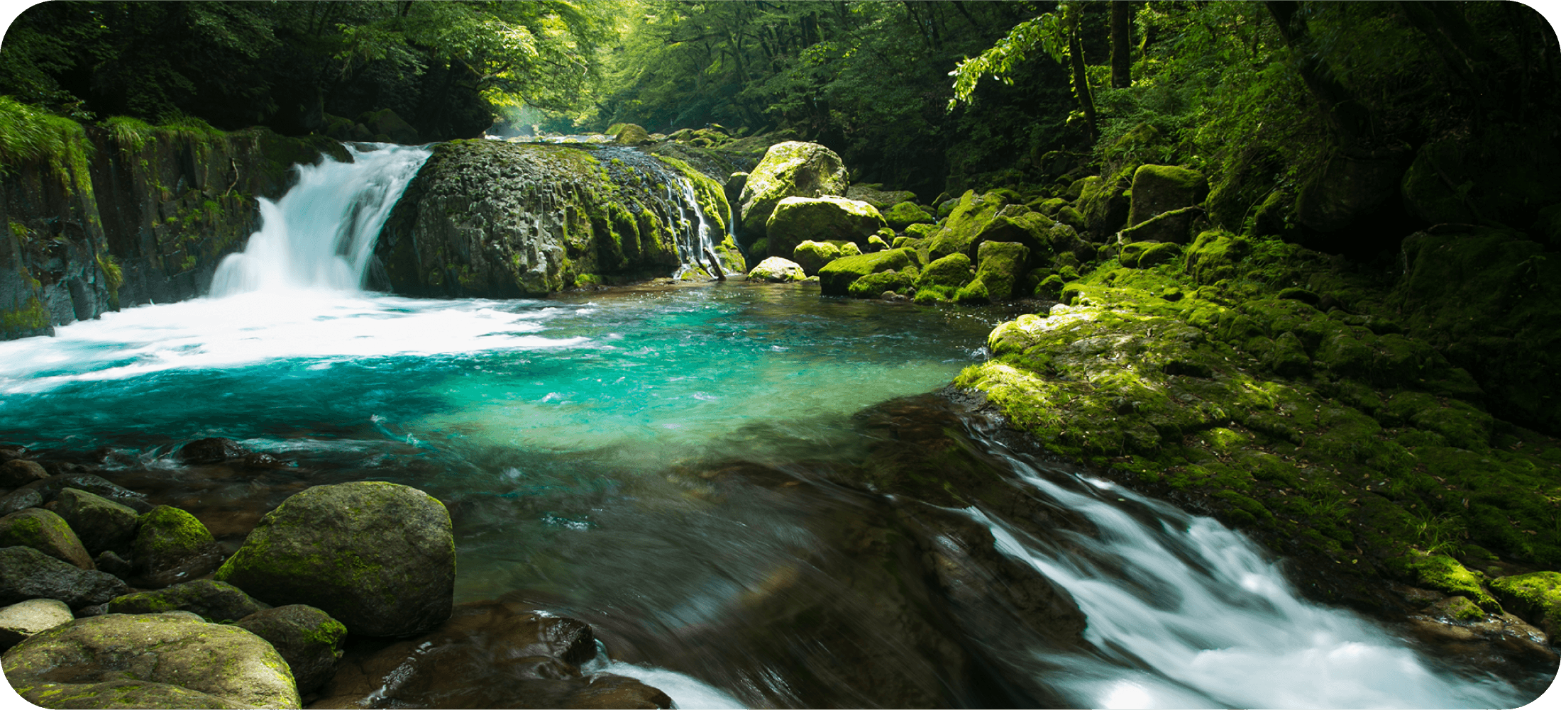 🏞️ 기쿠치 계곡 (키쿠치 케이코쿠) 이미지 8